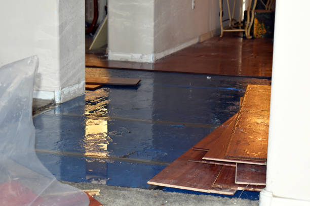 Professional Sewage Cleanup technician working in Shirley, NY